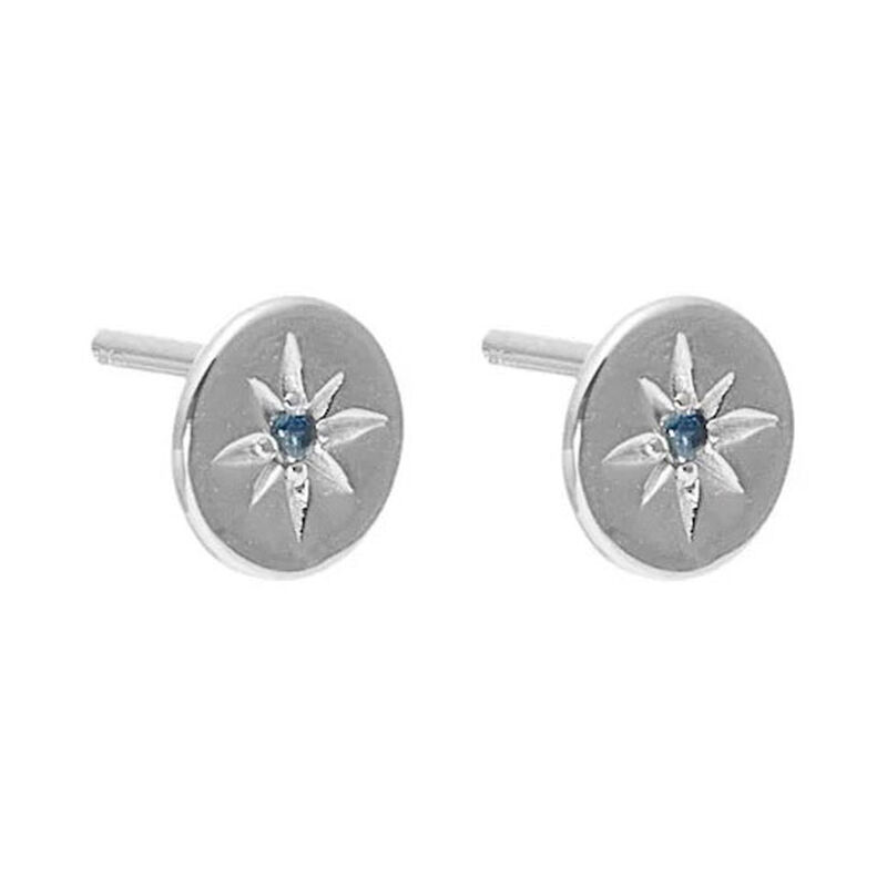 Silk & Steel Petite North Star Studs image number 0